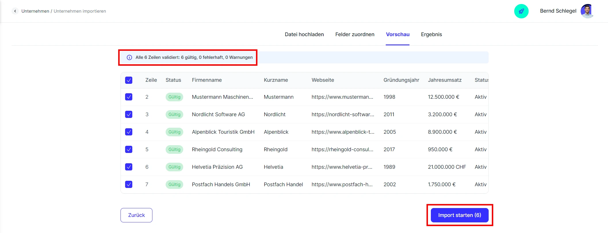 CRM Cloud Unternehmen Excel Import Vorschau